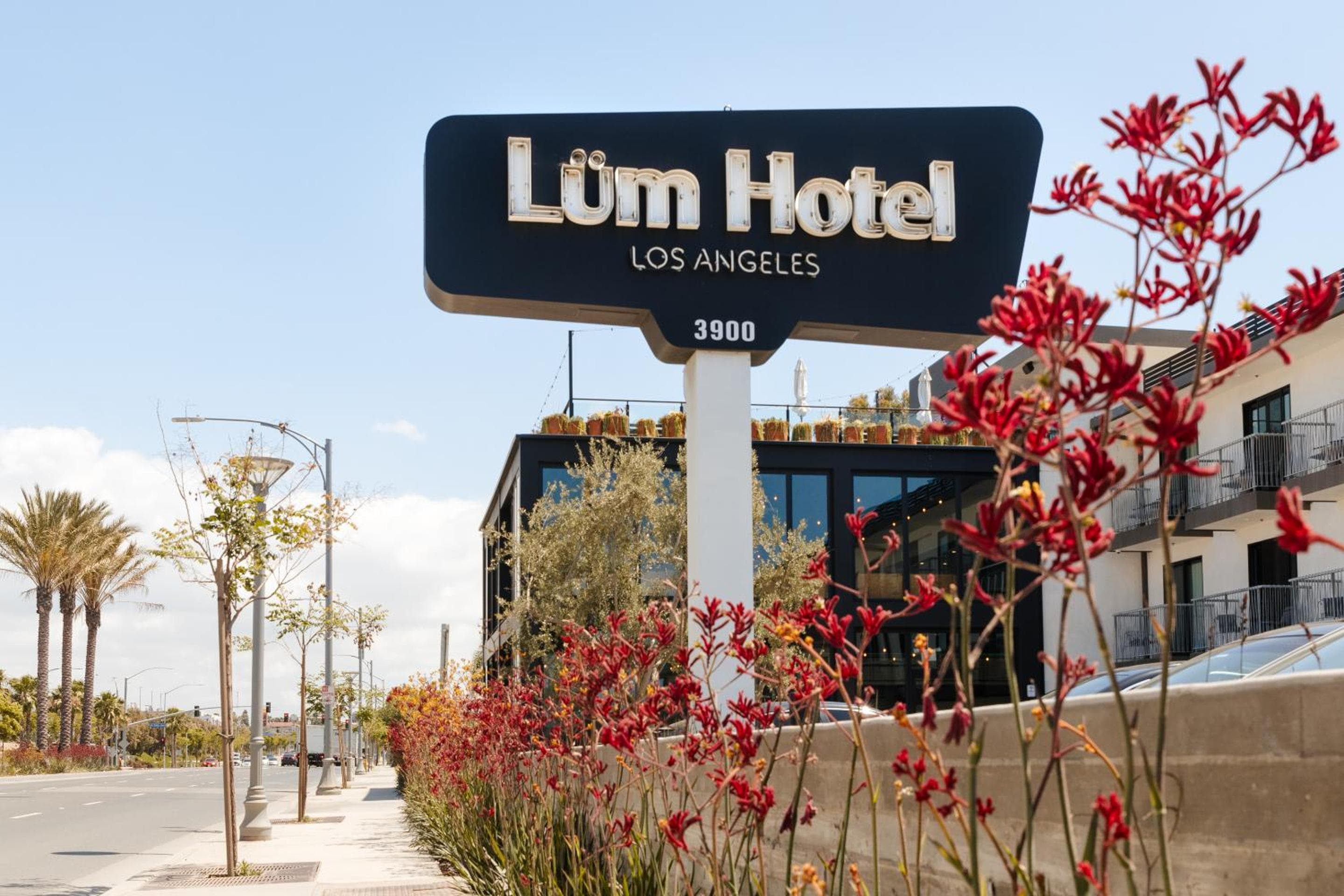 Lüm Hotel Inglewood