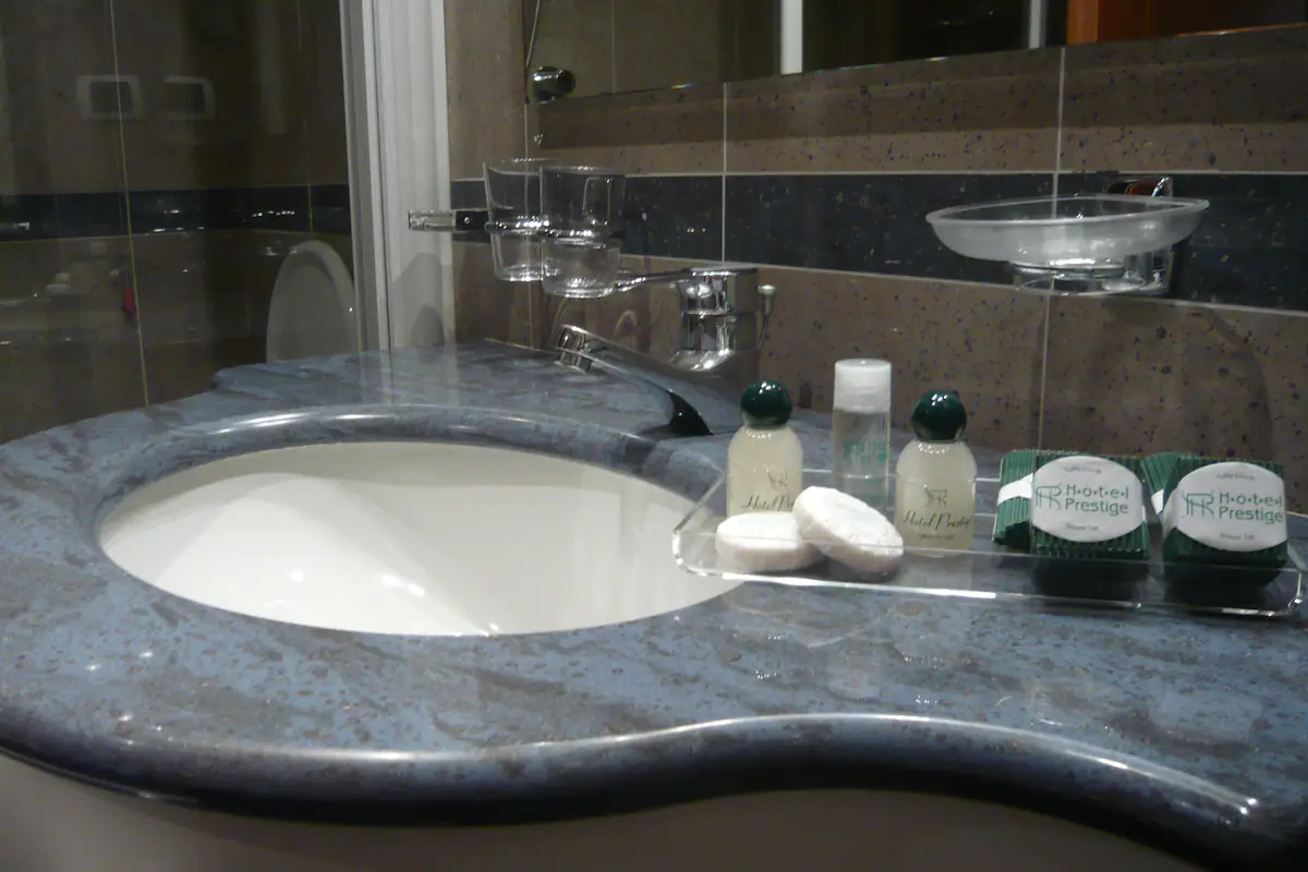 Hotel Prestige