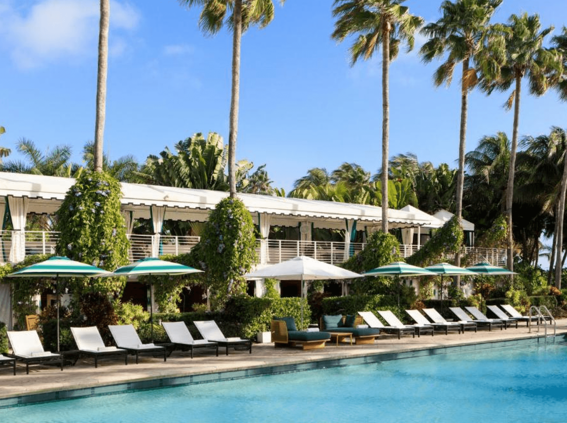 Kimpton Surfcomber Hotel by IHG