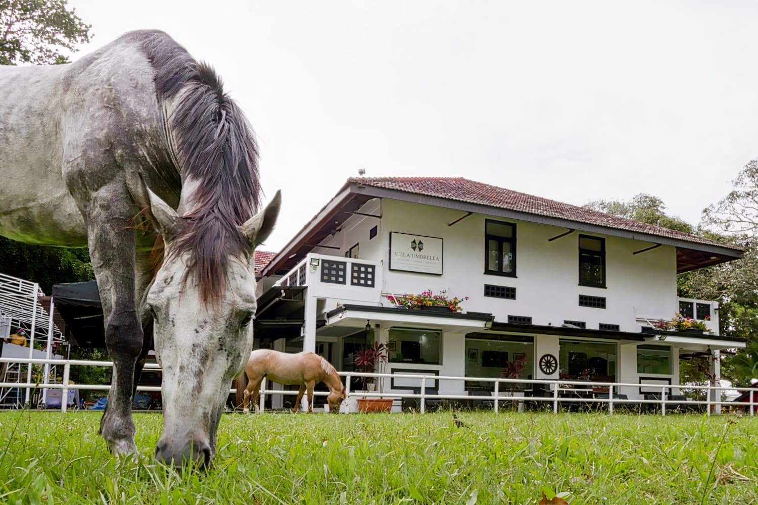 Villa Umbrella Singapore