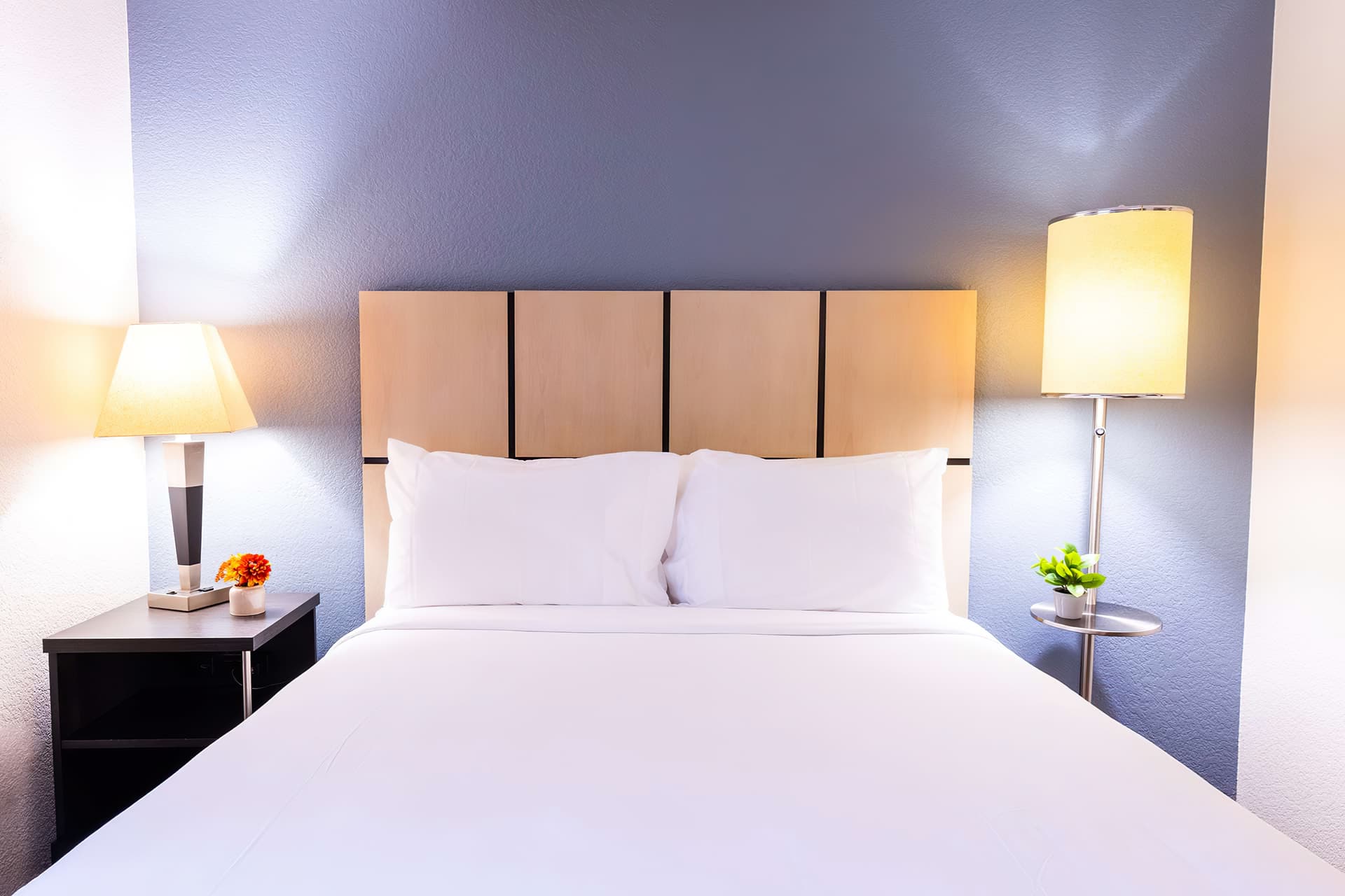 Sonesta Simply Suites Jacksonville