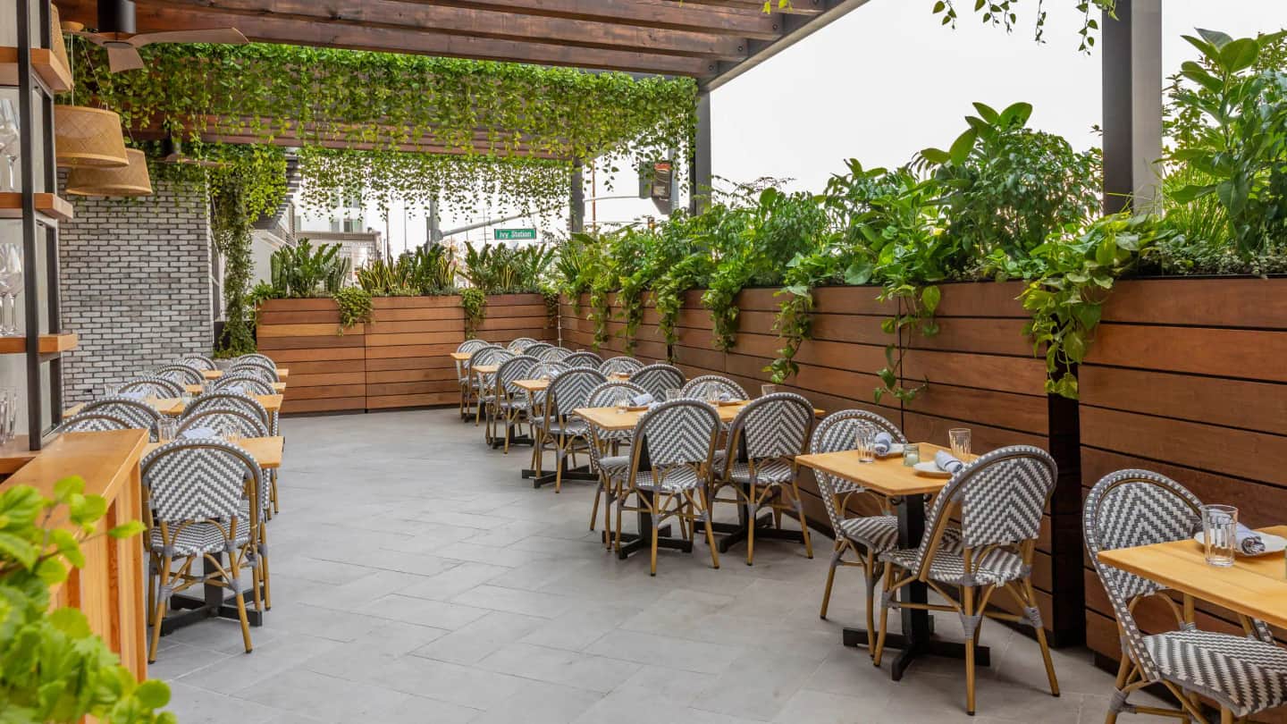 The Shay, a Destination by Hyatt
