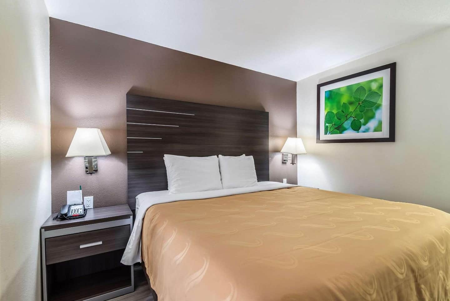 Quality Inn & Suites Canton