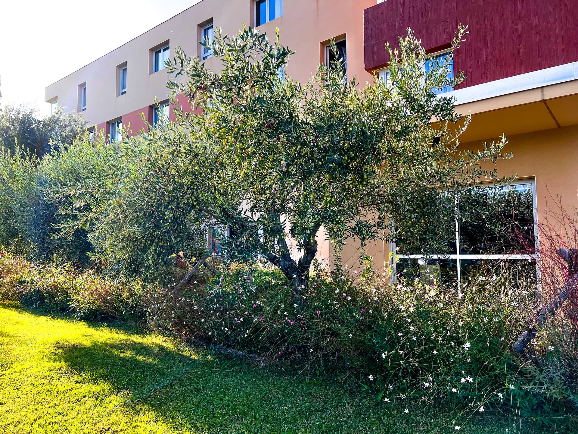 The Originals City, Hôtel Ecoparc, Montpellier Est